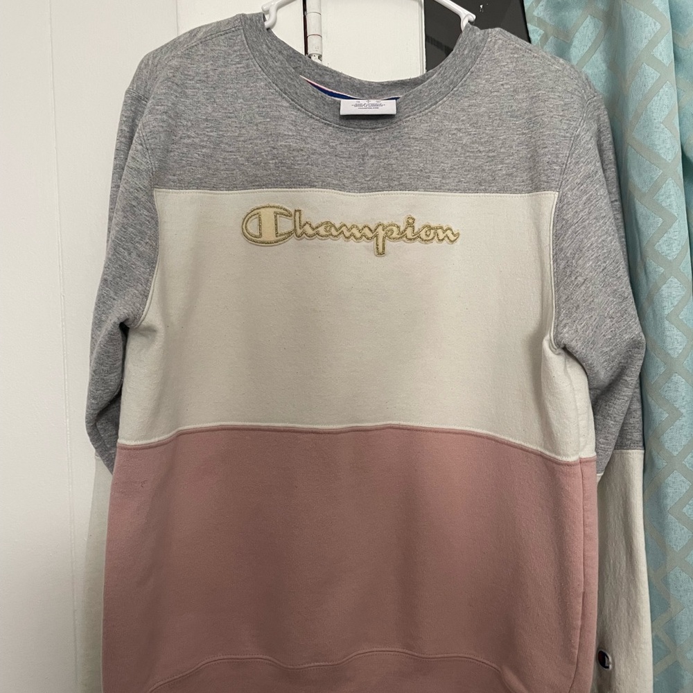 Champion Hoddie